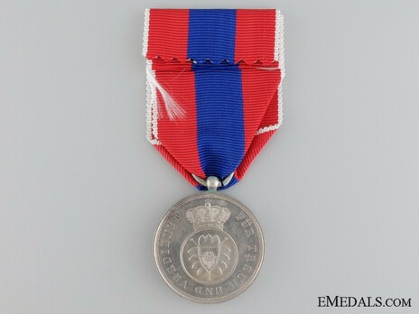 Merit Medal in Silver, Type II Reverse