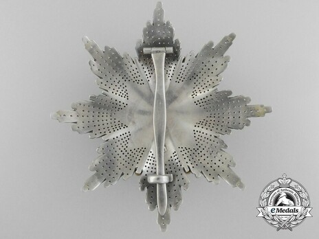 Order of Saint Sava, Type III, I Class Breast Star Reverse