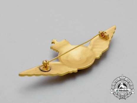 Air Force Flight Engineers Wing Obverse