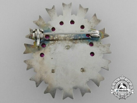 Order for Special Merit in the Defence of the State and Social Order, II Class Breast Star (1968-1989) Reverse