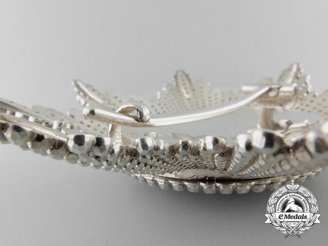 Type II, Grand Cross Breast Star (in silver and gold) Reverse