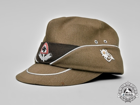 RAD Officer's Cloth Cap Profile