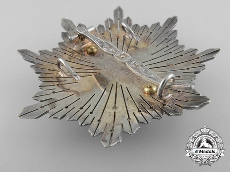 2nd Class Breast Star (white distinction) (with coat of arms of Castile and Leon, and Royal Crown) (1975-2014) (Silver and Silver gilt) Reverse