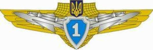 Compulsory Military Service Airforce 1st Grade Badge Obverse