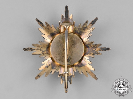 Order of the Red Eagle, Type V, Civil Division, Grand Cross Breast Star (in silver gilt) Reverse