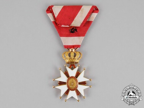 Order of Saint Joseph, Knight Reverse