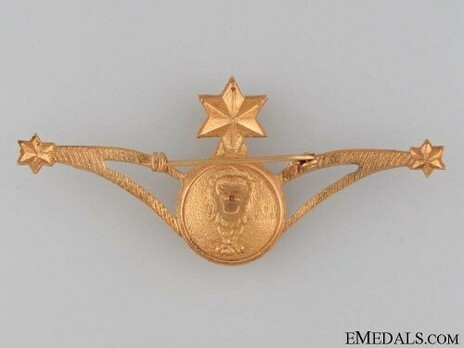 Air Force Navigator's Wings Badge Reverse