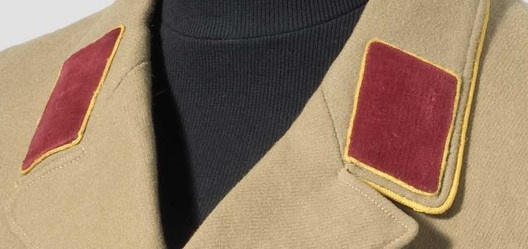 NSDAP Politischer Leiter-Anwärter (Nicht-Parteimitglied) Type IV Reich Level Collar Tabs Obverse
