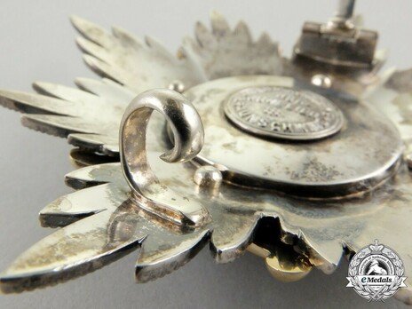 Dukely Order of Henry the Lion, Grand Cross Breast Star (in silver gilt) Catch