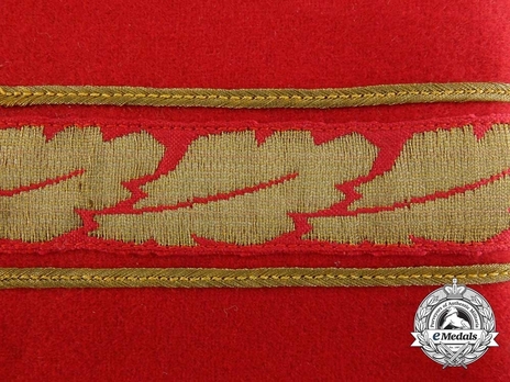 NSDAP Stellvertretender Gauleiter Type II Gau Level Armband Detail