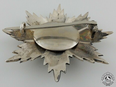 Military Order of Savoy, Type II, Grand Officer Breast Star (in silver) Reverse