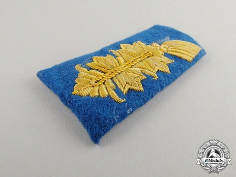 German Army General Ranks Collar Tabs (specialist career blue version) Obverse