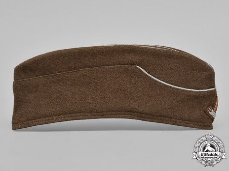 RAD Officer's Field Cap Right