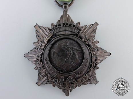 Bronze Medal Obverse