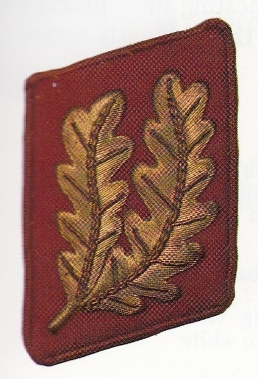 Img 20200928 0001