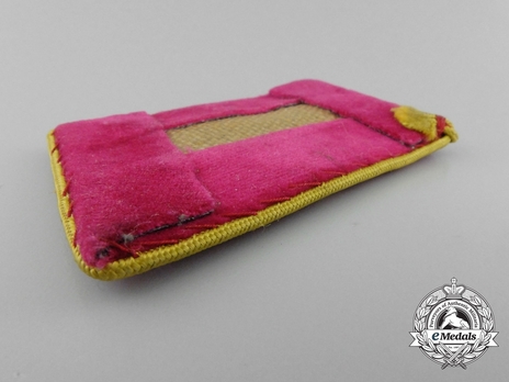 NSDAP Dienstleiter Type IV Reich Level Collar Tabs Reverse