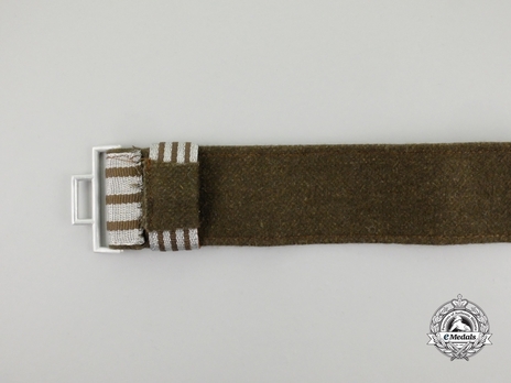 RAD Officer's Brocade Dress Belt Reverse
