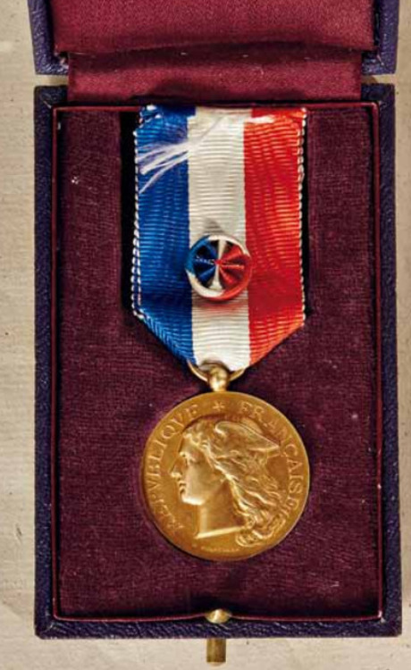 Medal+of+honour+for+epidemics%2c+gold+medal%2c+obv+