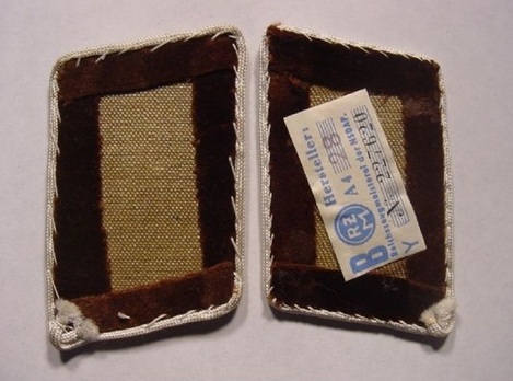 NSDAP Politischer Leiter-Anwärter (Nicht-Parteimitglied) Type IV Kreis Level Collar Tabs Reverse