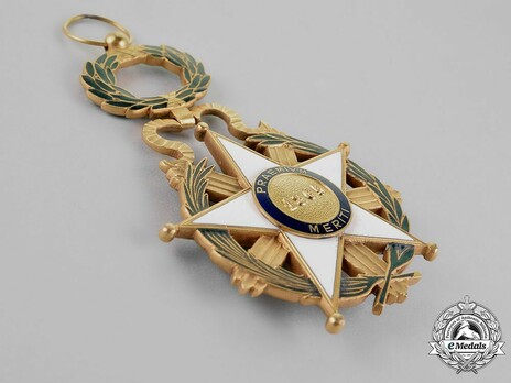 Extraordinary Grand Cross Reverse
