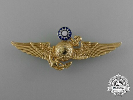 Republic of Taiwan Marine Corps Light Aviation Pilot Badge Obverse