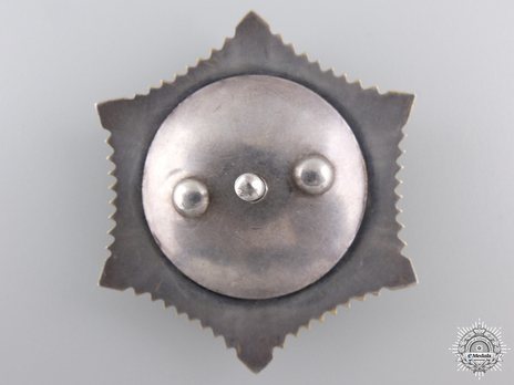 Order of the Polar Star, Type III Reverse