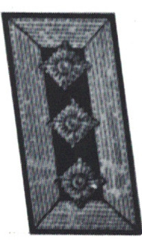 Kriegsmarine Hauptbootsmann Transport Fleet Speer Collar Tabs Obverse
