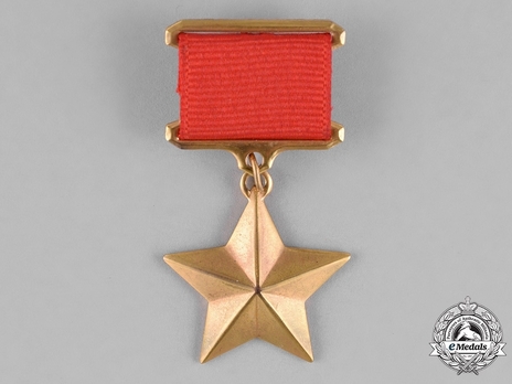 Type I, Star Medal in Gold (in bronze gilt)