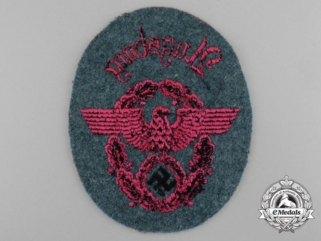Firefighters Enlisted Ranks Green Uniform Professionals Sleeve Eagle Reverse