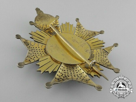 Dignitary Breast Star Reverse