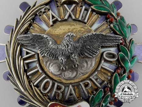 Grand Cross Breast Star (Silver) Obverse