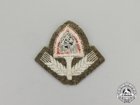 RAD NCO/EM's Cloth Cap Insignia Reverse