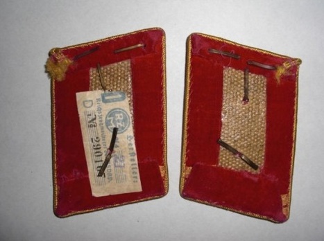 NSDAP Haupt-Arbeitsleiter Type IV Reich Level Collar Tabs Reverse