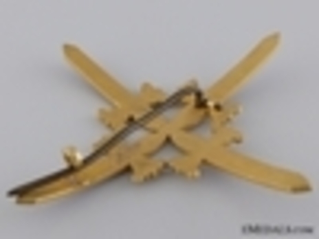 I Class Star for field uniform Reverse