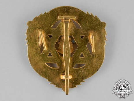 Order of the Queen of Sheba, Grand Cross Breast Star Reverse