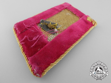 NSDAP Reichsleiter Type IV Reich Level Collar Tabs Reverse