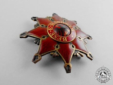 Order of the Black Eagle, Grand Officer's Breast Star Obverse