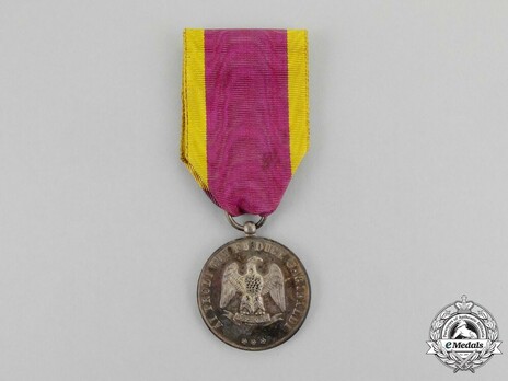Medal for 1000 Volunteers, in Silver Obverse