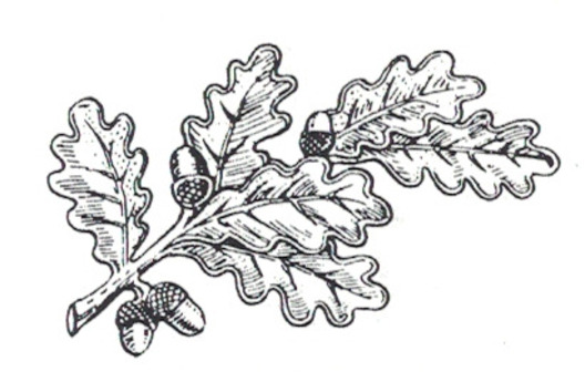 RAD Arbeitsgau XXII Hessen-Nord Tradition Cap Badge Obverse