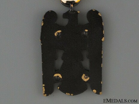 Silesian Eagle, II Class (in bronze) Reverse