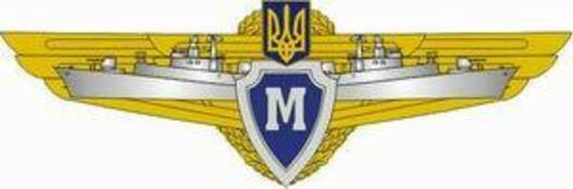 Сompulsory Military Service Navy Master Badge Obverse