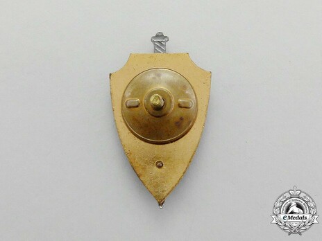 Medal of the 50th Anniversary of State Security of the MPR Reverse