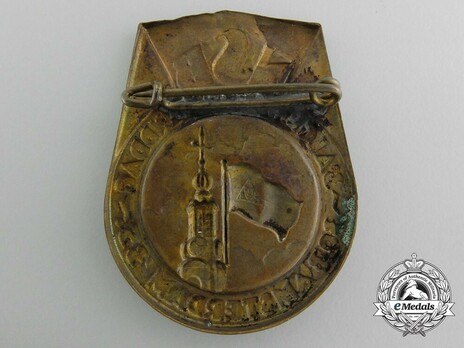 National Socialist Movement Diet Badge Reverse