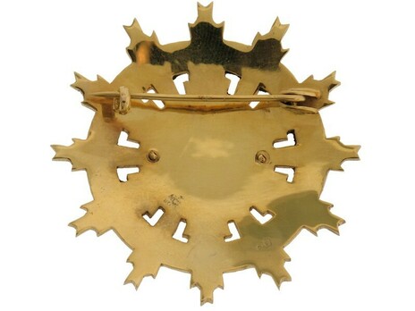 Order of Scientific Merit, I Class Breast Star Reverse