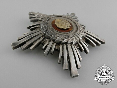 Order of the Star of Romania, III Class Decoration (version 3) Obverse