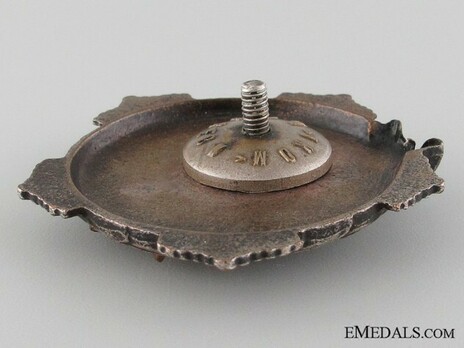 Medal for Remembrance, Type II, Large Badge (in Silver gilt) Reverse