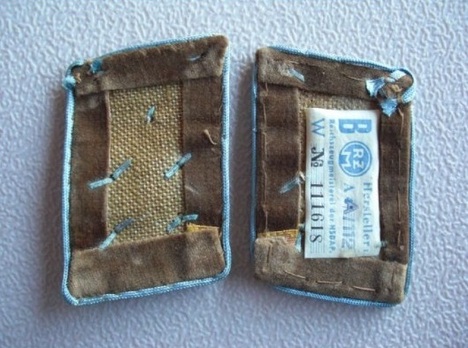 NSDAP Haupt-Gemeinschaftsleiter Type IV Ort Level Collar Tabs Reverse