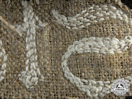 RAD Stabswache RAF Sleeveband Detail Reverse