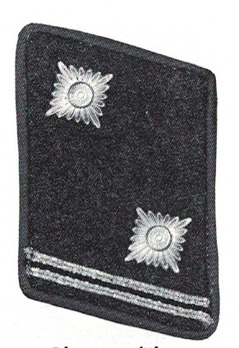 NSFK Obertruppführer Collar Tabs Obverse