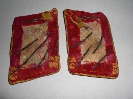 NSDAP Haupt-Gemeinschaftsleiter Type IV Reich Level Collar Tabs Reverse